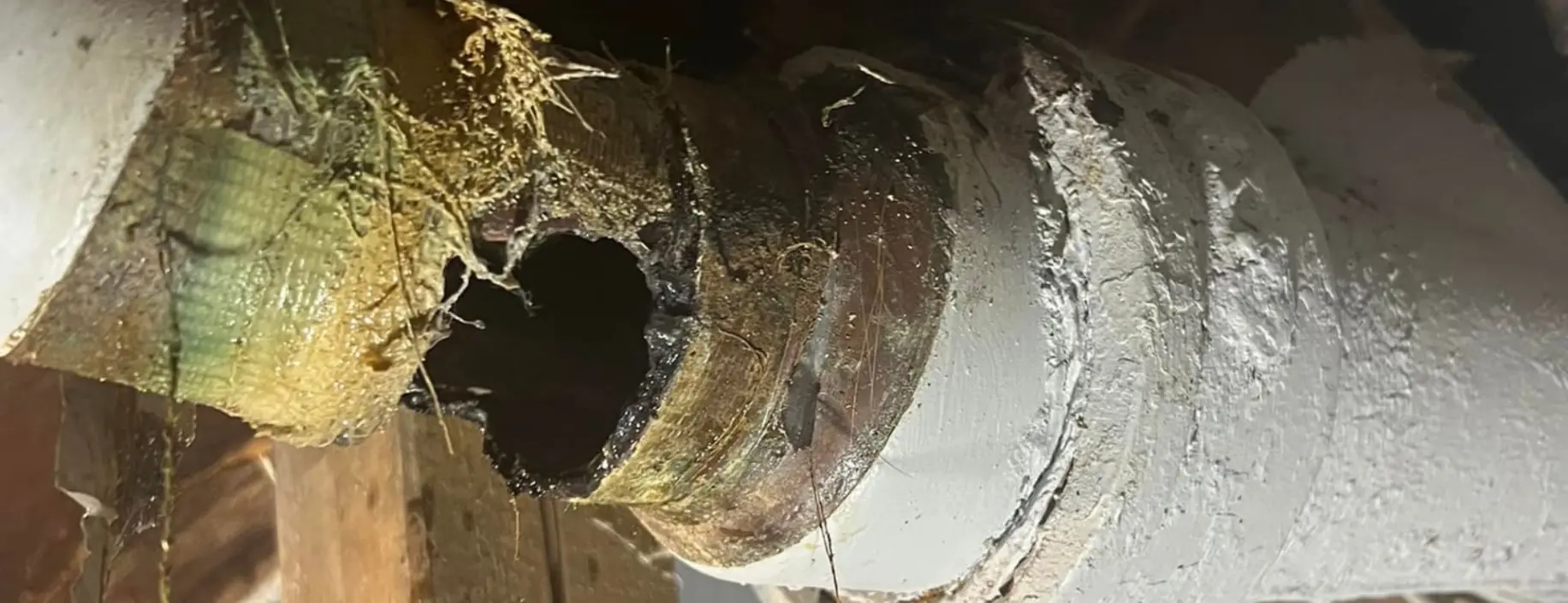 Sewer and Drain Cleaning Services